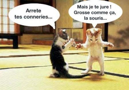 chairche pas