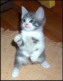tu me cherche